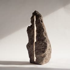 Marcus Vinícius De Paula