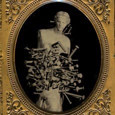 David Sokosh