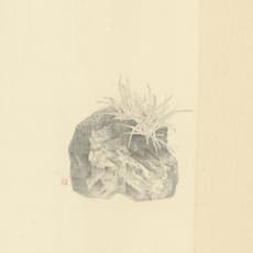Lee Ying-Huang 李英皇