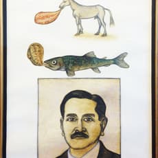 Yüksel Arslan