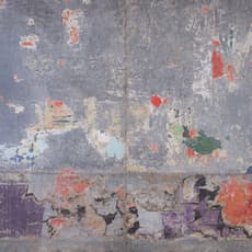 Raymond Hains