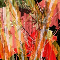 Loren Bednar