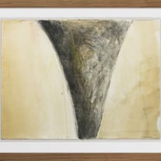 Sorrel Hofmann