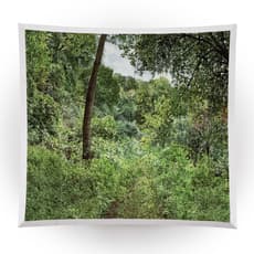 Trevor and Ryan Oakes