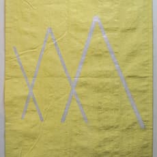 Jimena Chávez Delion