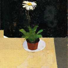 Euan Uglow