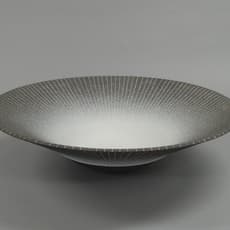 Tsuyoshi Hotate