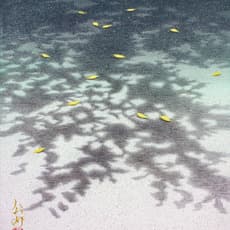 Kosuke Karimata