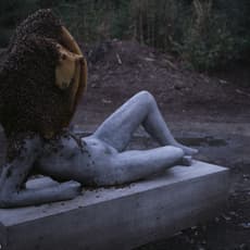 Pierre Huyghe