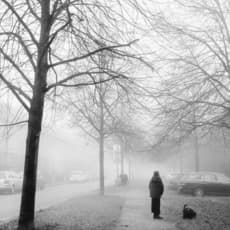 Björgvin Sigurðarson