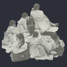 Lei Lei 雷磊 (b. 1985)