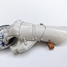 Hans van Houwelingen