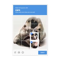 Cadie Desbiens-Desmeules