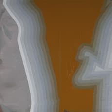 Li Qing 李青 (b. 1981)