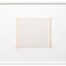 Sylvia Plimack Mangold