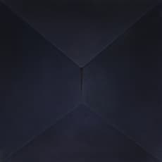 Zhang Wei 张伟 (b. 1984)