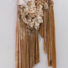 Hanne Friis