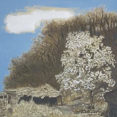 Jang Sup Son