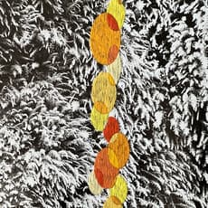 María Bayá, Cascada (2022)