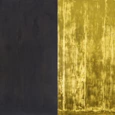 Weng Jijun 翁纪军