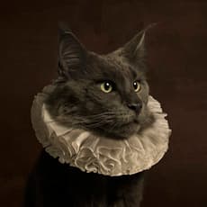 Marie Cecile Thijs