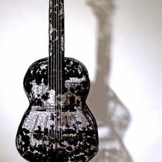 Shi Jindian 师进滇