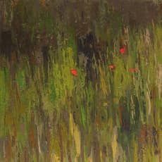 José Mª Guerrero Medina