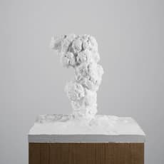 Thu Van Tran