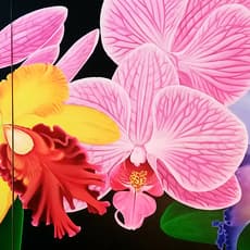 Sandeep Jigdung