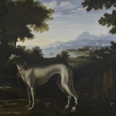 Michelangelo Pace, called Michelangelo di Campidoglio