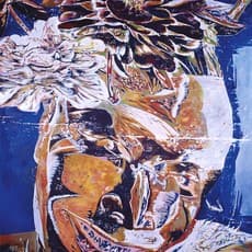 Yiqiong Wang