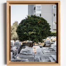 Ieva Saudargaitė Douaihi