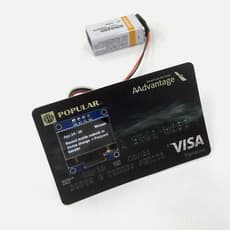 Gabriella Torres-Ferrer