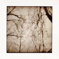 Nancy Rexroth