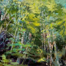 Rachael Jacobs Burke