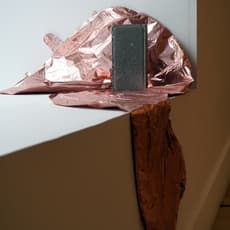 Víctor Alemán del Toro