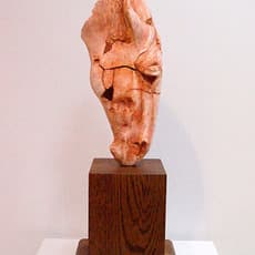 Nic Fiddian-Green