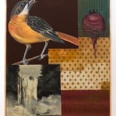Tom Judd