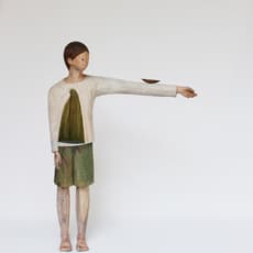 Yuan Hsin-Yuan