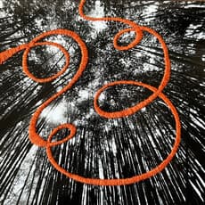 María Bayá, Cañaveral naranja (2023)