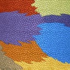 Hock E Aye Vi Edgar Heap of Birds