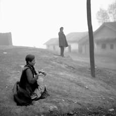 Lang Li