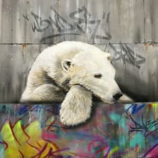 Dave Baranes