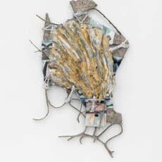 Isabel Nuño de Buen