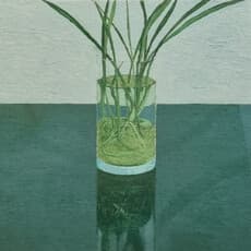 Călin-Ștefan Dumitrașcu