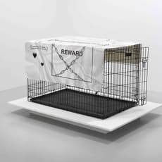 SHAWNÉ MICHAELAIN MICHAELAIN HOLLOWAY