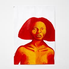 Victor Henrique Fidelis