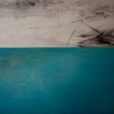 Židrija Janušaitė