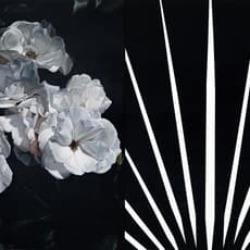 Mustafa Hulusi