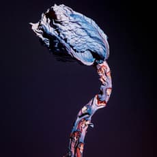 Jean-Vincent Simonet